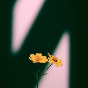 日韩精品久久无码中文字幕色欲
